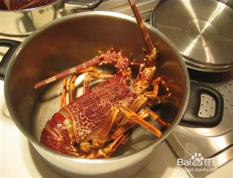 【清蒸蒜泥大龙虾的做法步骤图，怎么做好吃】A想起_下厨房