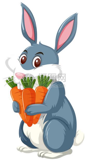 可爱的兔子拿着胡萝卜插画插画图片下载-正版图片402357758-摄图网