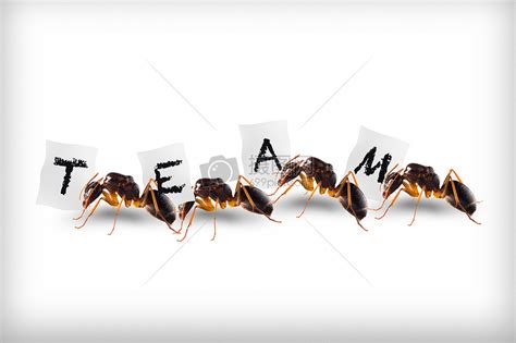 蚂蚁集团区块链仓单解决方案