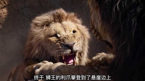 狮子王：刀疤的儿子和辛巴的女儿相爱了，最后竟然被辛巴拆散了！_腾讯视频