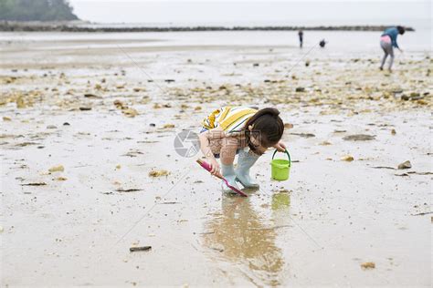 在海边捡石子的小孩高清图片下载-正版图片502217763-摄图网