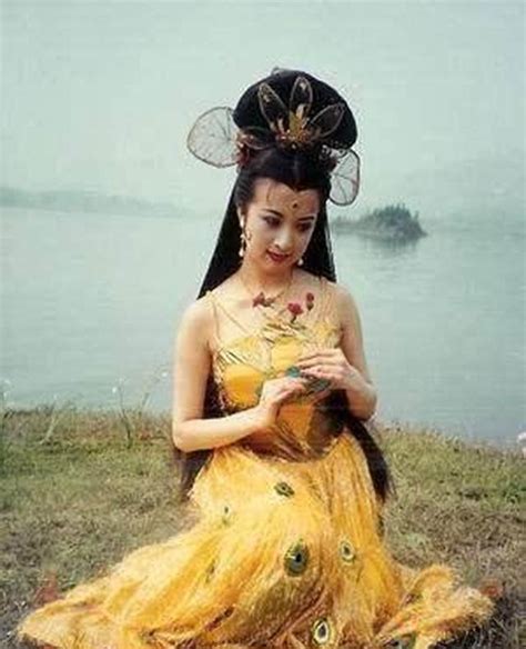 西游记孔雀精图片