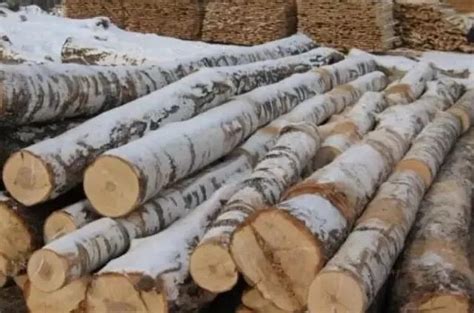 世界上最防腐的木材介绍_行业资讯_木头云