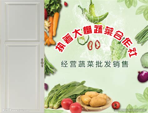 大棚蔬菜合作社设计图__室外广告设计_广告设计_设计图库_昵图网nipic.com