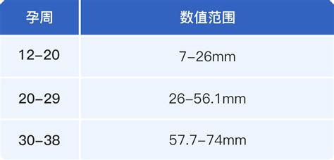 股骨长标准值对照表-爱医医