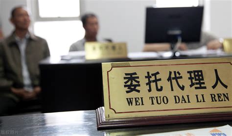 诉讼律师如何提高自己的业务能力-广东的信律师事务所