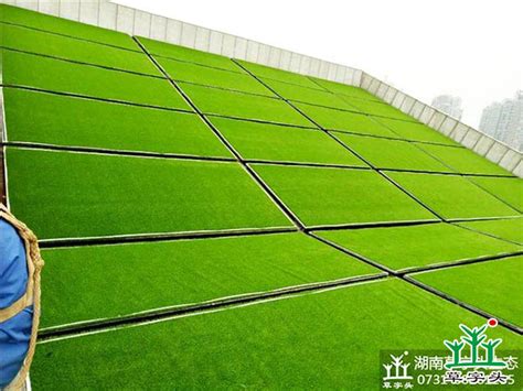 SUNGRASS人造草坪公司VI设计-企业logo设计-上海探鸣品牌VI设计公司