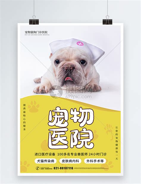 可爱风格宠物医院宣传海报模板素材-正版图片401618400-摄图网