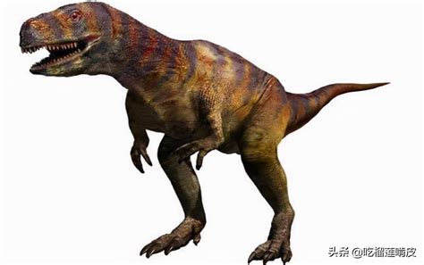 阿贝力龙：阿根廷大型食肉恐龙（长7.9米7000万年前）_龙的_坎帕_化石