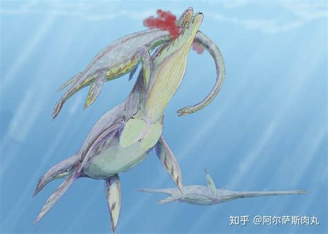 沧龙：从巨蜥进化而来的海洋霸主 - 知乎