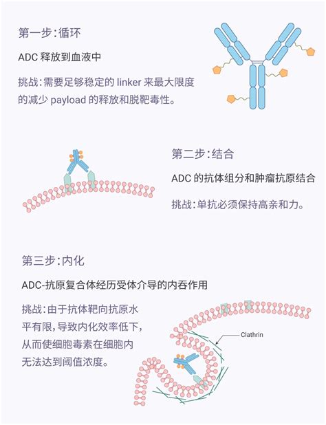 国产 ADC/DAC产品-贵州云高电子信息技术有限公司