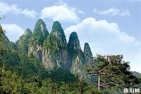 海南岛五指山风景区，海南的象征性景区，也是海南第一高山|五指山|海南|五指山景区_新浪新闻