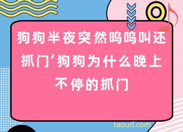 为什么10个孕妇有8个尿酸高：孕妇尿酸高的原因、影响、预防、治疗 - 搜为什么网