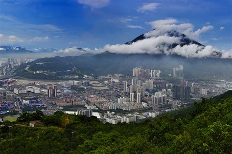 盐田港后方陆域全貌图_盐田网