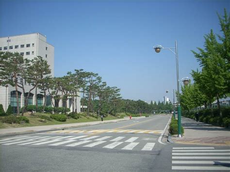 韩国国际大学图片_韩国国际大学图片高清、全景、内景、唯美等大全