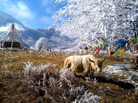 宝兴硗碛藏寨神木垒旅游景区：以高原风情和藏乡文化为主