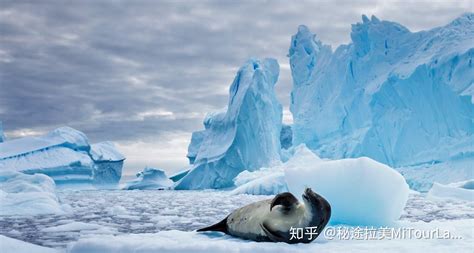 极光，银河，企鹅，去南极旅行能一次看到吗？ | 南极小众旅行攻略