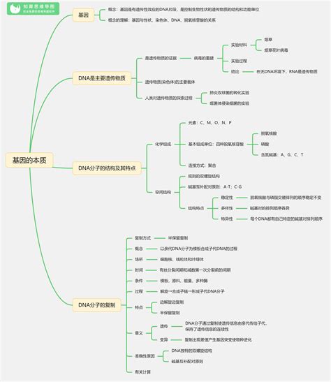 高中生物思维导图图片