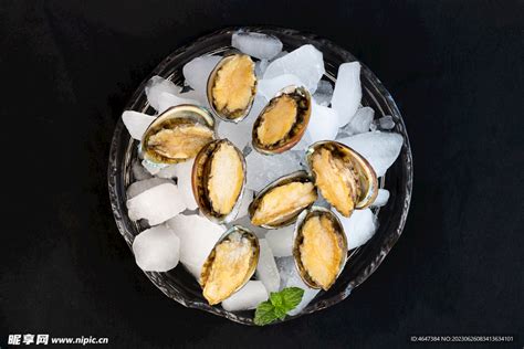 非主流鲍鱼头像