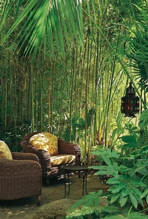 竹 · 以竹造景-绿宝园林网