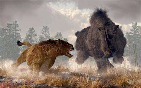 史上咬力最强的哺乳动物袋狮为何消失匿迹？