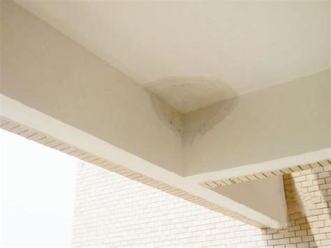 室内天花板漏水怎么处理_天花板漏水下来怎么办