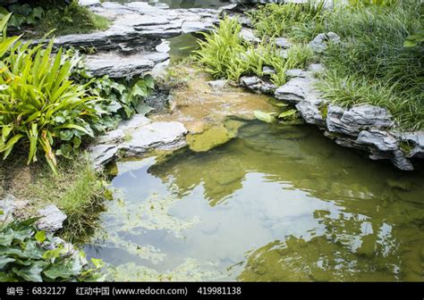 清澈的河水与绿植高清图片下载_红动中国