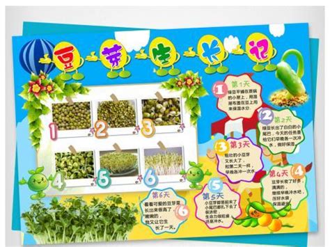 教科版五年级科学上册观察绿豆芽的生长PPT模板下载_熊猫办公