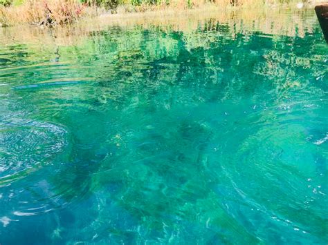 2024泸沽湖景区-泸沽湖洛克岛游玩攻略,水草茂盛，水草的名字叫“水...【去哪儿攻略】