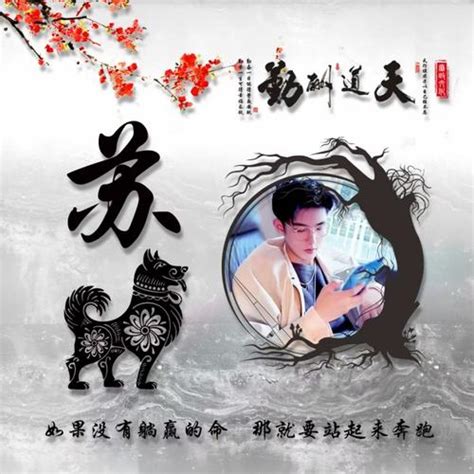 苏姓头像非主流