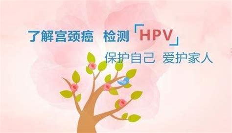 今天来科普HPV的“前世今生”！_病毒