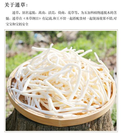 小通草图片