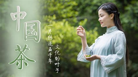 《一叶茶，千夜话》，BBC新纪录片聚焦中国茶道传奇
