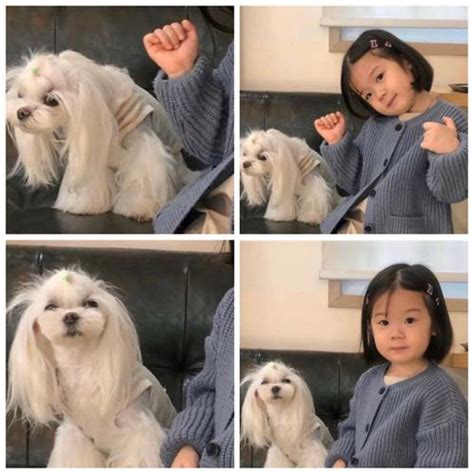 女生和狗头像高清蒙古风