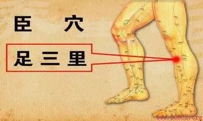 虚里的准确位置图图片 虚里的准确位置图图片