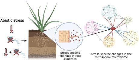 干旱、高温及其组合影响玉米根系的根系分泌模式和根际微生物群落,Environmental and Experimental Botany ...