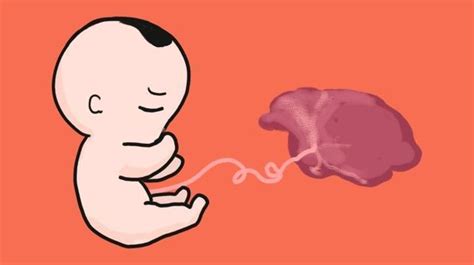死后分娩是怎样一种现象，婴儿还能存活吗？