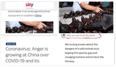 全球直击丨新冠肺炎疫情下 看英国媒体如何造假抹黑中国-新闻中心-温州网