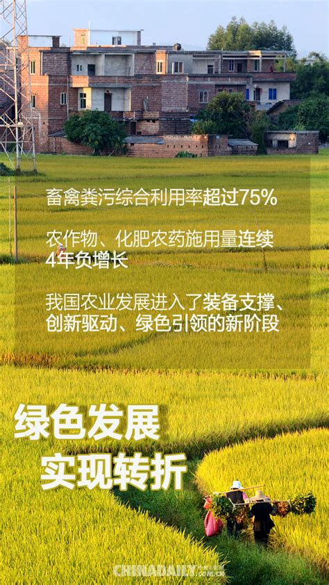 【海报】中央一号文件释放了哪些农业强国信号-大河网