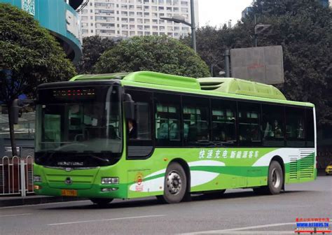 重庆公交车身广告-重庆公交车体广告-公交车身广告价格-道博文化