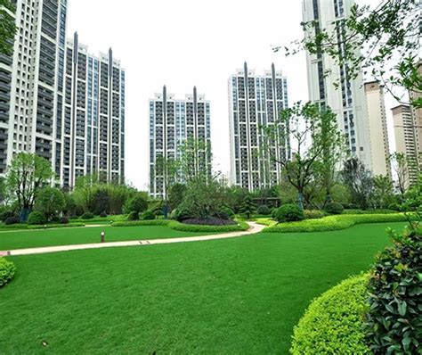 园林绿化工程|惠州园林绿化工程|惠州园林绿化设计-中艺源咨询热线：400-9966-400