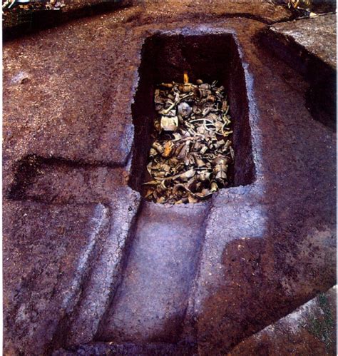 三星堆遗址的发现和发掘-考古中国-图片