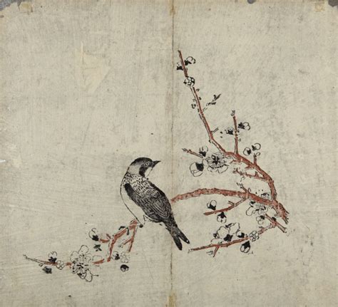 清 佚名《花鸟图册》1 普林斯顿大学博物馆藏-古玩图集网