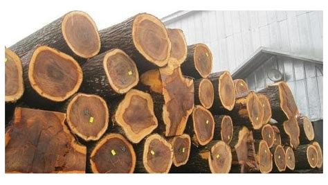 越南专家：木材行业需要从根本上改变出口产品和市场_行业资讯_木头云