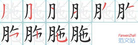 胣的笔顺_汉字胣的笔顺笔画 - 笔顺查询 - 范文站