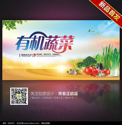 有机蔬菜纯天然绿色食品宣传海报设计图片下载_红动中国