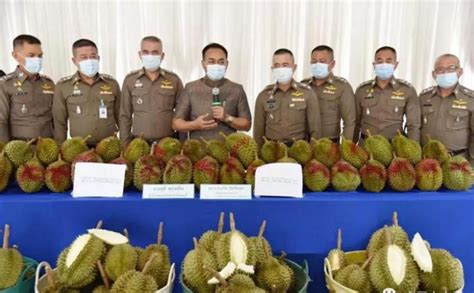 生榴莲问题突出，泰国南部榴莲价格下跌30% | 国际果蔬报道