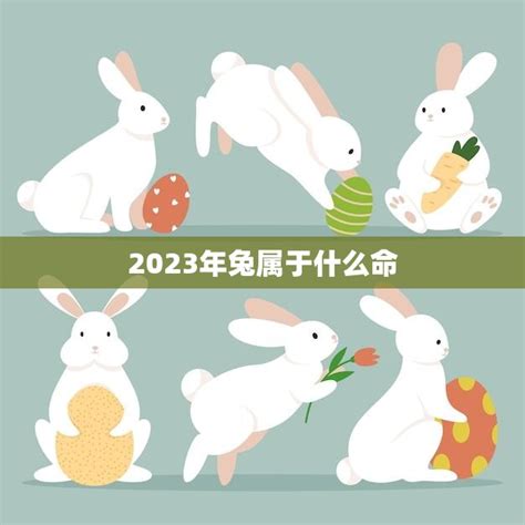 2023年兔属于什么命(解析兔年出生的人命运如何)
