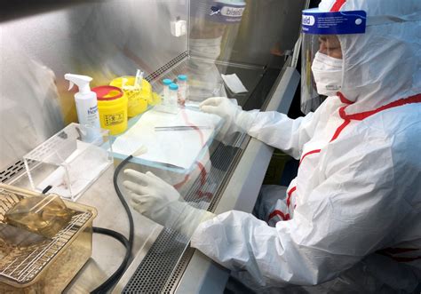 兰州市卫健委 县区动态 七里河区疾控中心PCR实验室顺利通过省级评审验收并投入使用