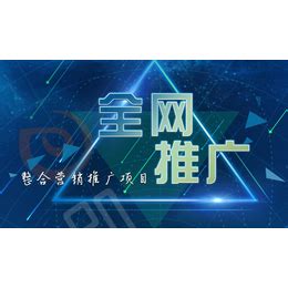 seo优化,品尚网络(在线咨询),广州seo优化_平面设计_第一枪